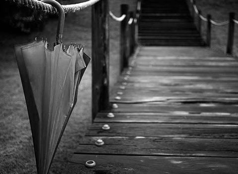 自动攻击网站工具下载